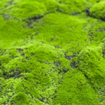 Мох искусственный с большими кочками 100Х200см.