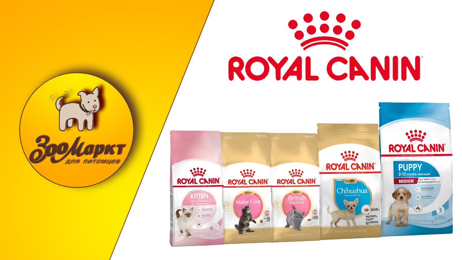 Акция Royal Canin