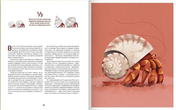 Кто как строит? В гостях у диких животных