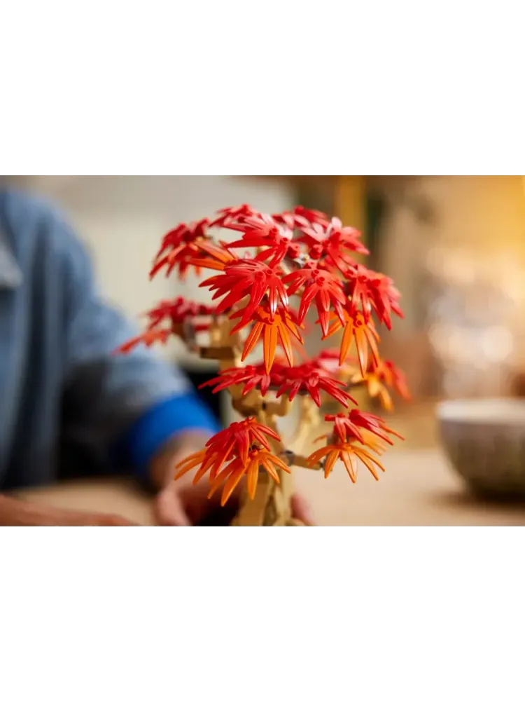 Конструктор Botanical Collection 10348 Японский красный клен