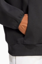 Кофта adidas Future Icons Small Logo Full-Zip - черный