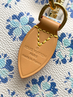 Louis Vuitton Speedy 20