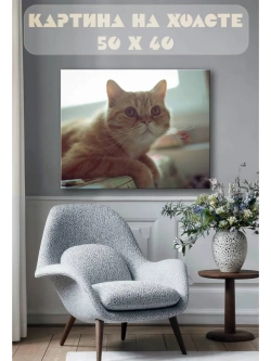 Картина на стену 40 X 50 Кошка