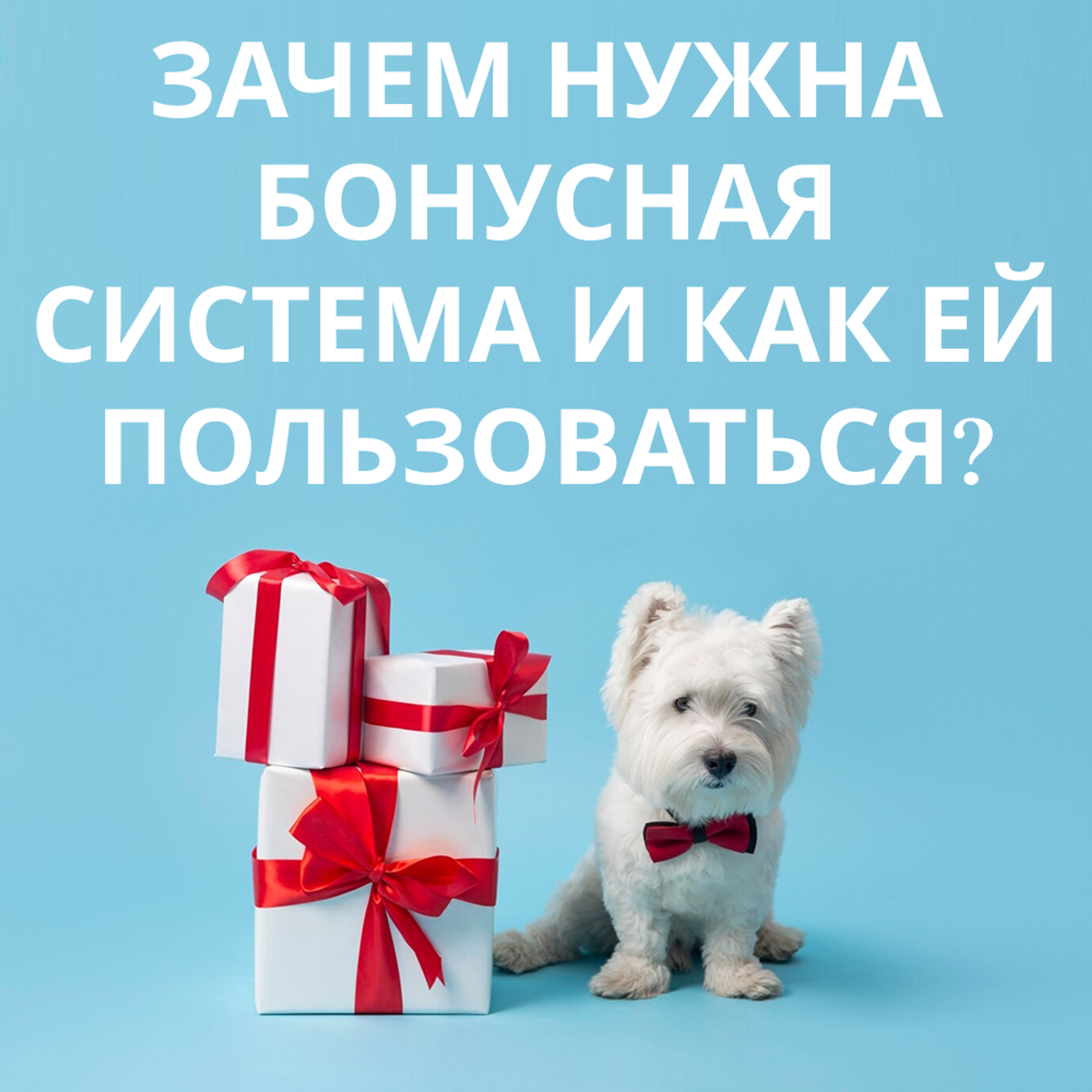 Зачем нужна бонусная система и как ей пользоваться?