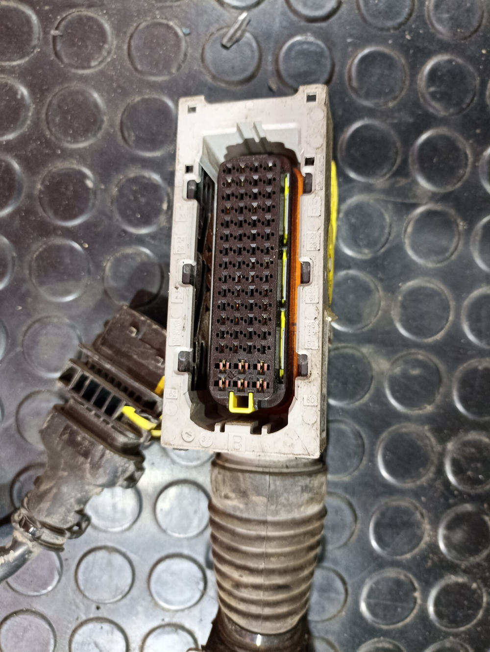 Проводка двигателя MX13 2020 год.