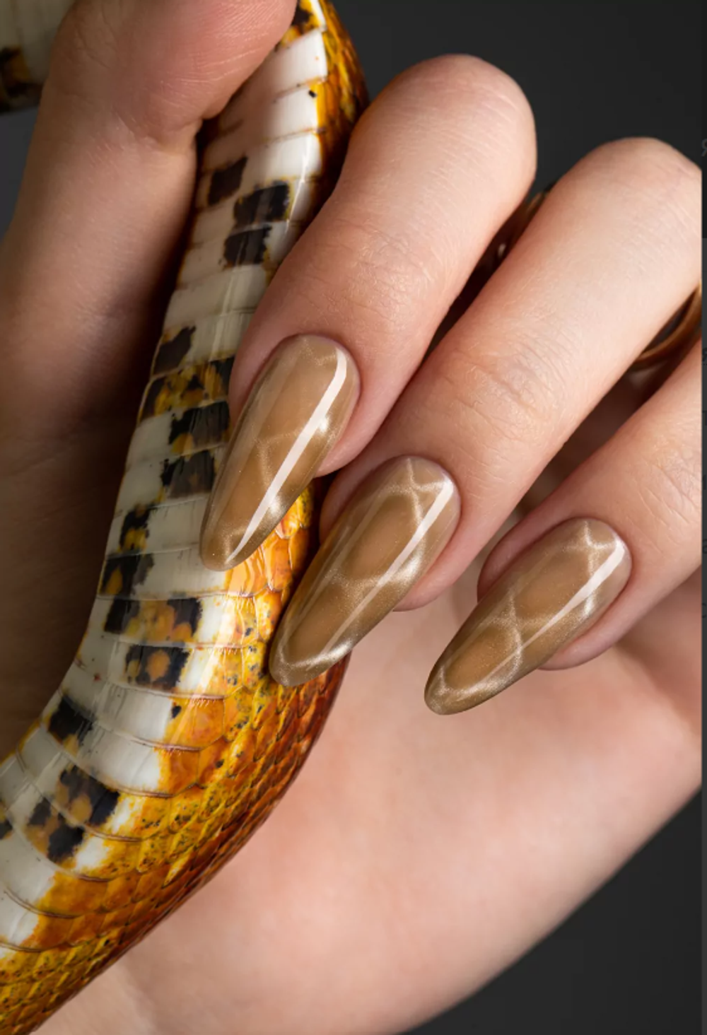 Monami Гель-лак Snake Eye №2, 8мл2