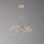 Подвесная светодиодная люстра Aployt Delfin APL.774.03.81