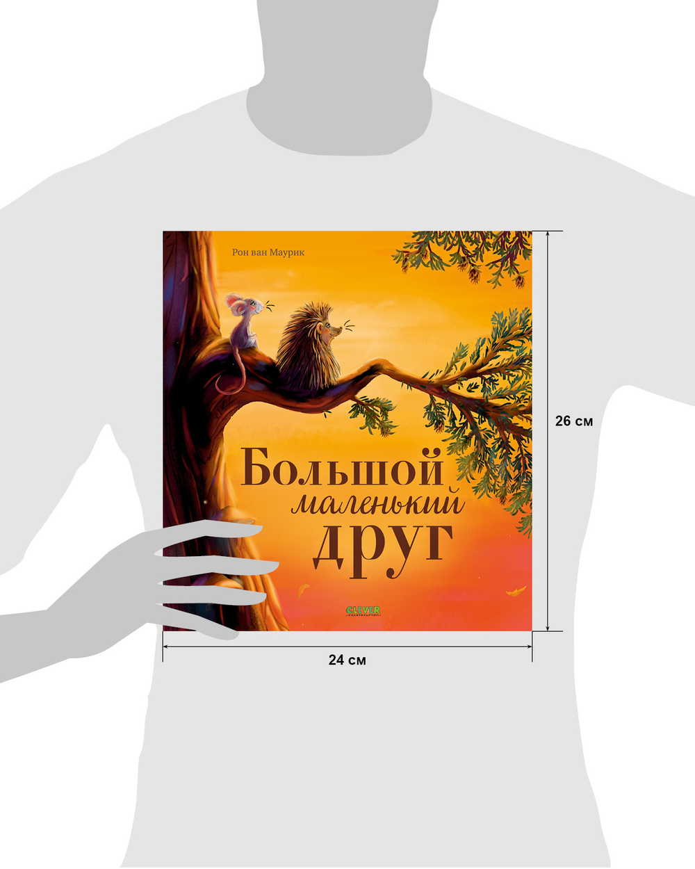 Книжки-картинки (мягкая обложка). Большой маленький друг