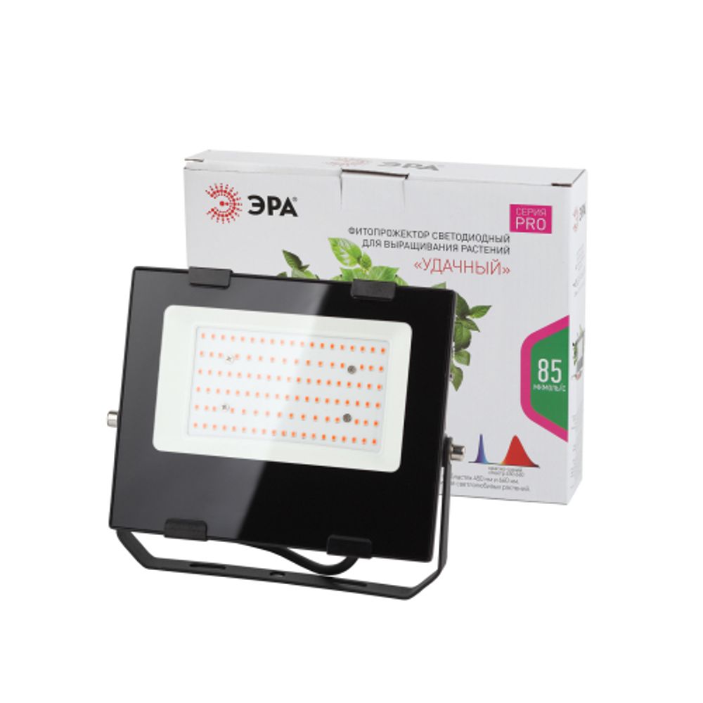 Фитопрожектор для растений светодиодный ЭРА FITO-50W-RB-LED для цветения и плодоношения красно-синего спектра 50 Вт