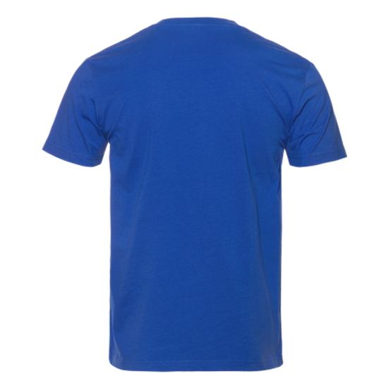 Футболка (василек)