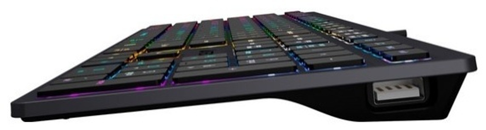 Клавиатура A4Tech Fstyler FX60H NEON BACKLIT черный