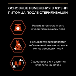 Pro plan cat adult sterilised vital functions сухой корм для стерилизованных кошек для поддержания функций почек, мозга и иммунитета, с высоким содержанием лосося - 400 г