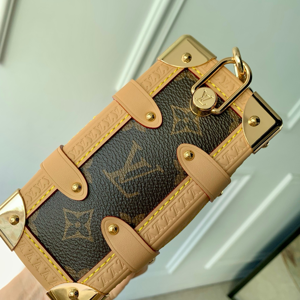 Louis Vuitton Side Trunk MM East West