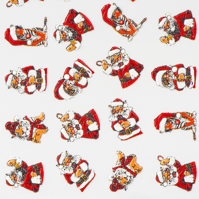 Irisk 3Д Слайдер дизайн зимний Тигры, Т-319