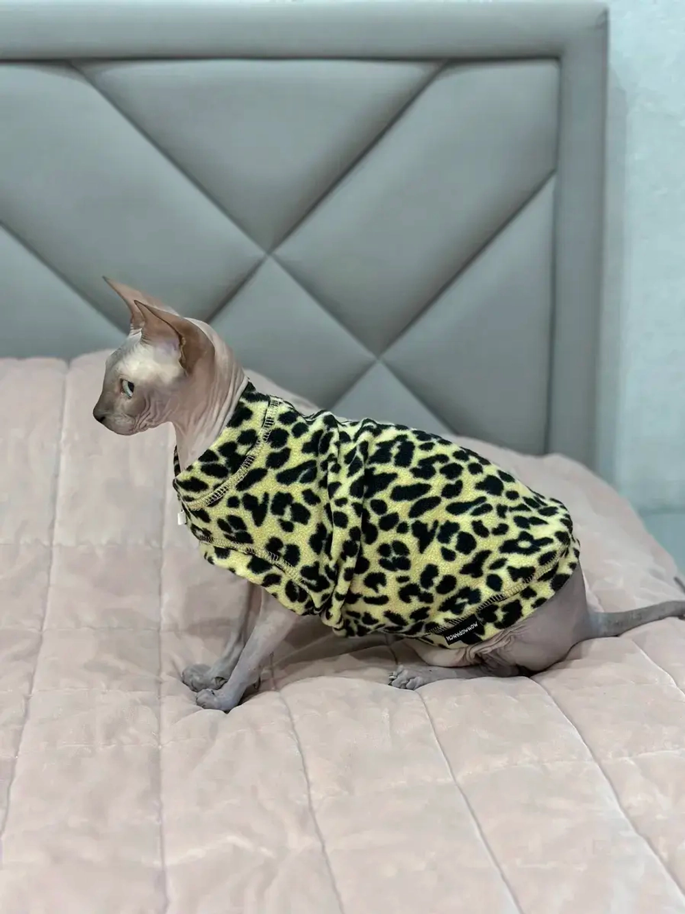 Одежда свитер для сфинксов кошек