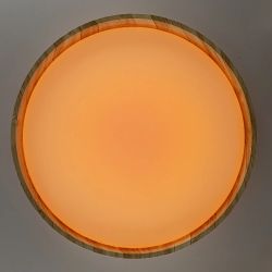 Citilux ENZO CL753452G LED RGB Светильник с пультом Клён