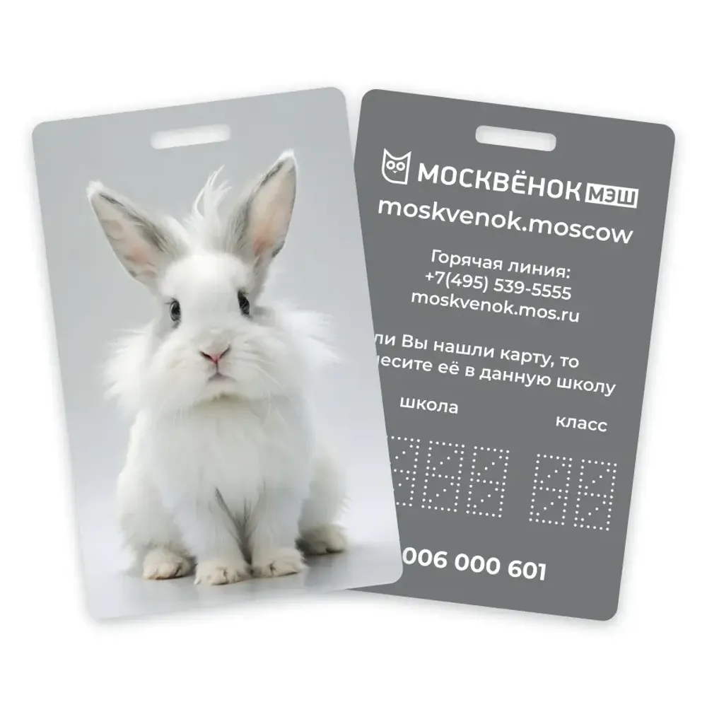 Карта Москвёнок BUNNY №4 (проход + питание)