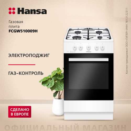 Газовая плита Hansa FCGW510009H