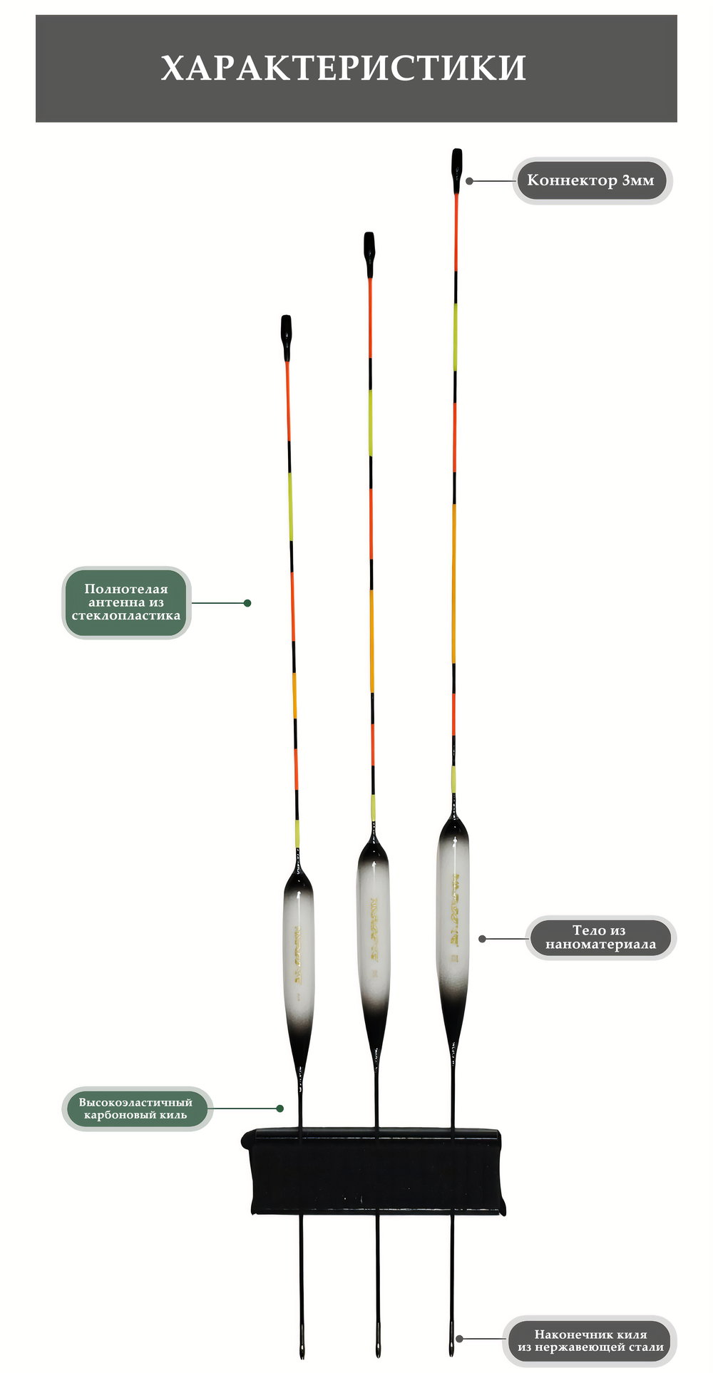 Эксперт solid