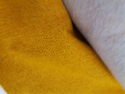 Рогожка Bjork mustard (Бьорк мастард)