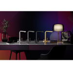 Смеситель для кухни с подключением фильтра Raglo R81.61.09, графит