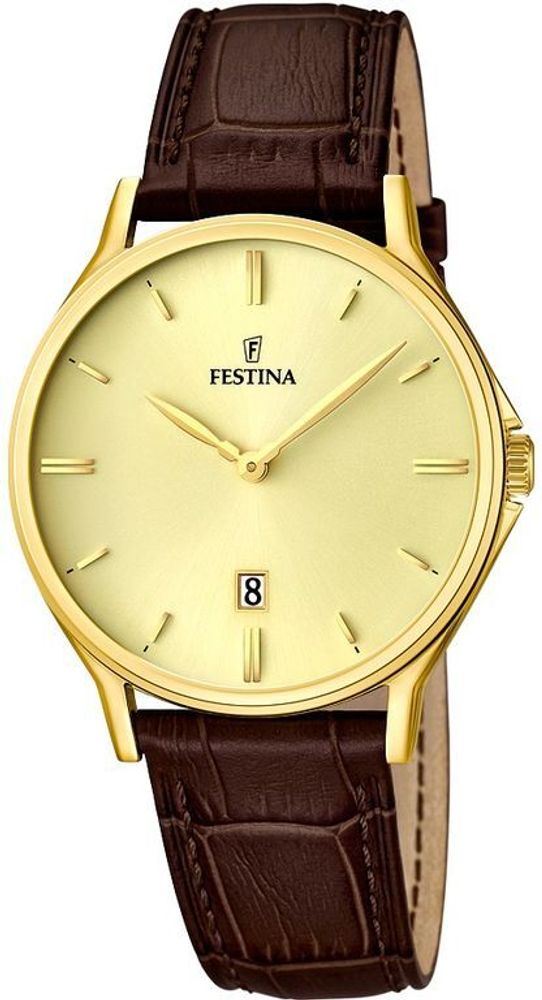 Мужские наручные часы Festina F16747/2