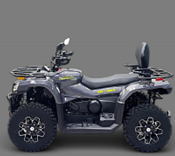 Квадроцикл Bizon YK450A ПТС