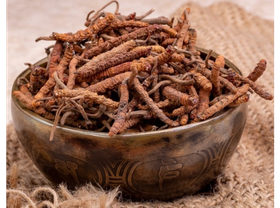 Кордицепс (микс)