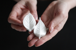 Молд силиконовый для лепки "лист Ежевики" / форма для оттиска листьев гортензии, малины, мяты)