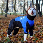 Комбинезон дождевик для собак демисезонный White Wolf вырез на мальчика сине-черный с принтом