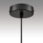 Подвесной светильник Lumion NATALINA 8232/1