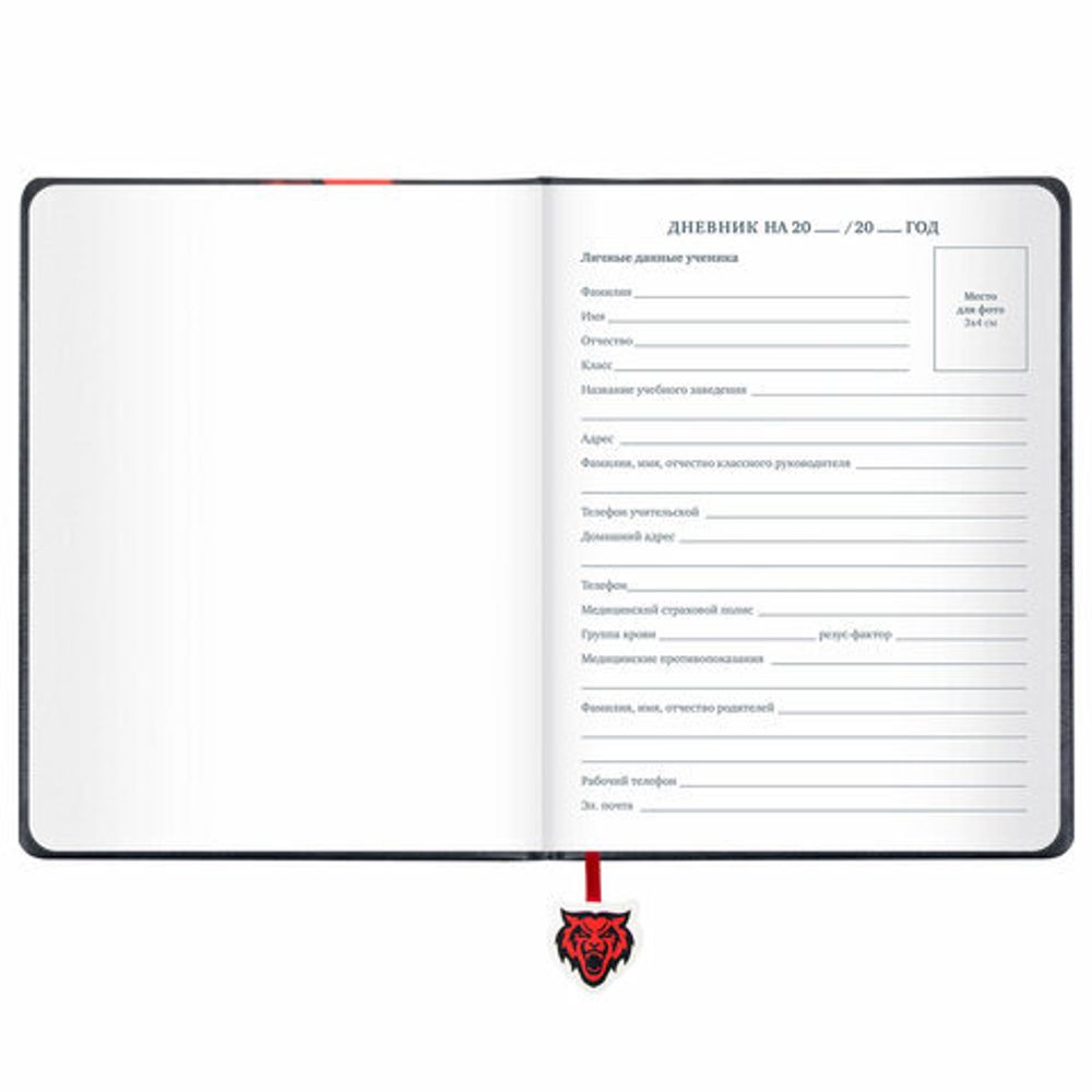 Дневник 1-11 класс 48 л., кожзам (твердая с поролоном), печать, ляссе с аппликацией, BRAUBERG, "Тигр", 106957