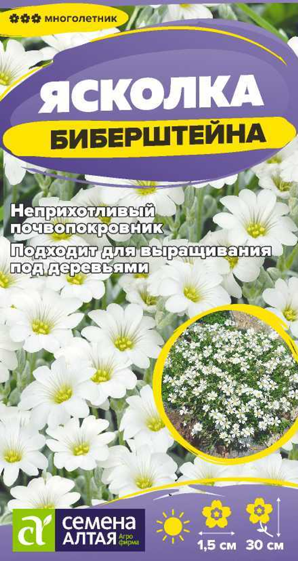 Ясколка Биберштейна 0,05г Семена Алтая - многолетник