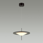 Подвесной светодиодный светильник Odeon Light STEKA 5012/16L