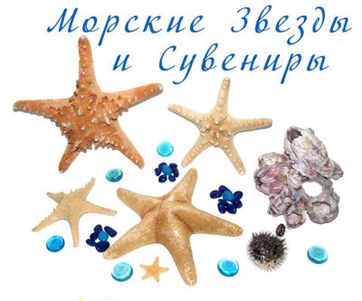 Морские звезды и сувениры