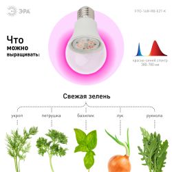 Фитолампа для растений светодиодная ЭРА FITO-14W-RB-E27-K красно-синего спектра 14 Вт Е27