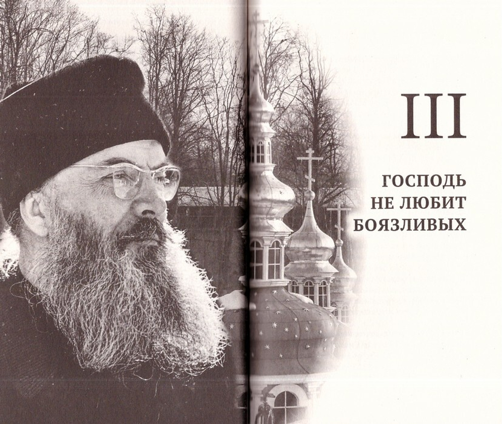 Архимандрит Алипий. Великий наместник. Анастасия Горюнова