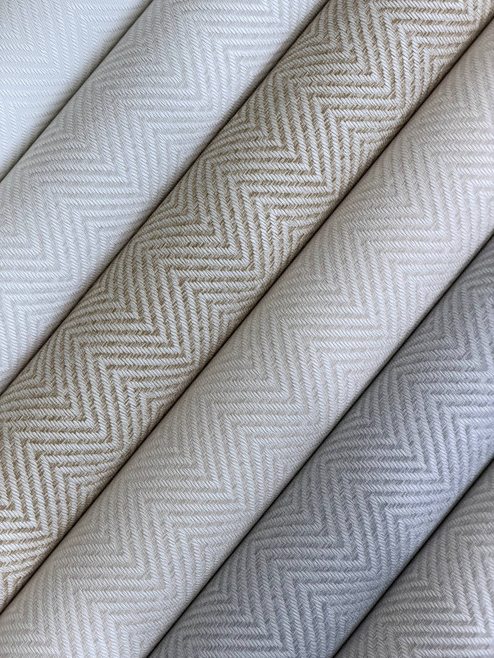 GaENARI 81404-3 REGALIA