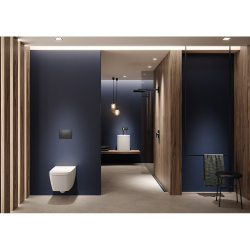 Кнопка смыва TECEsquare 9240836 с двумя клавишами, сатин черный хром