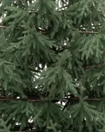 Ель искусственная «Заповедная» (Литая хвоя) 270 см / 2,7 м