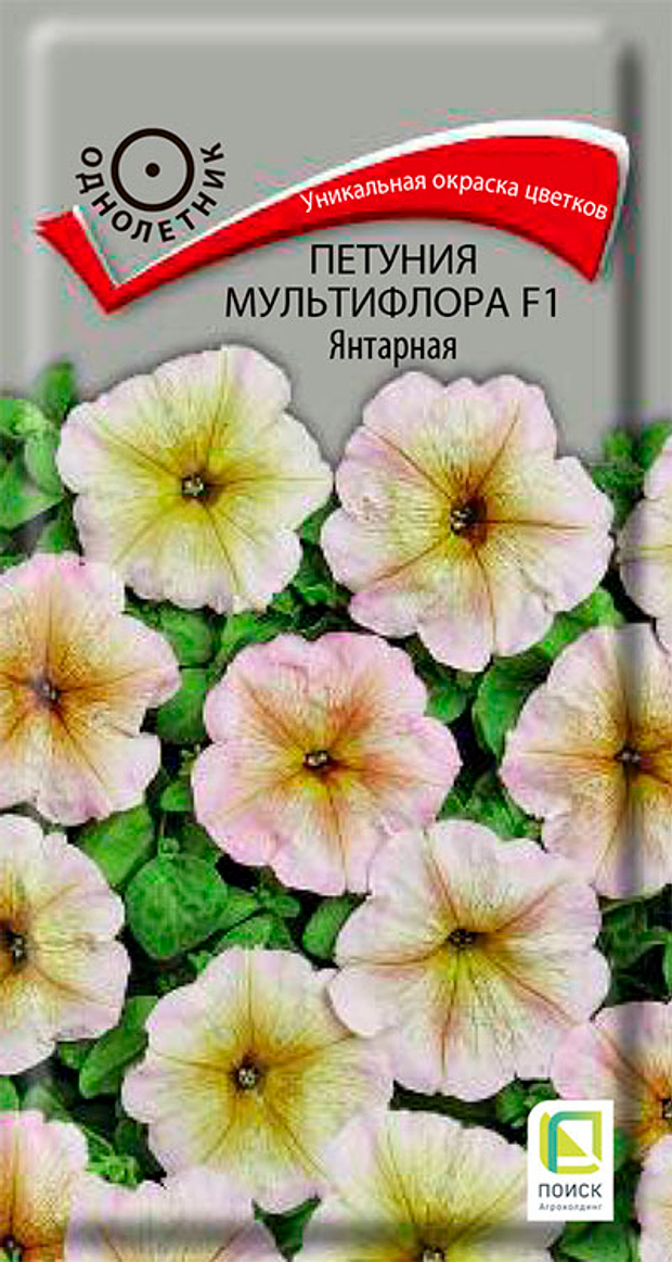 Петуния мультифлора Янтарная