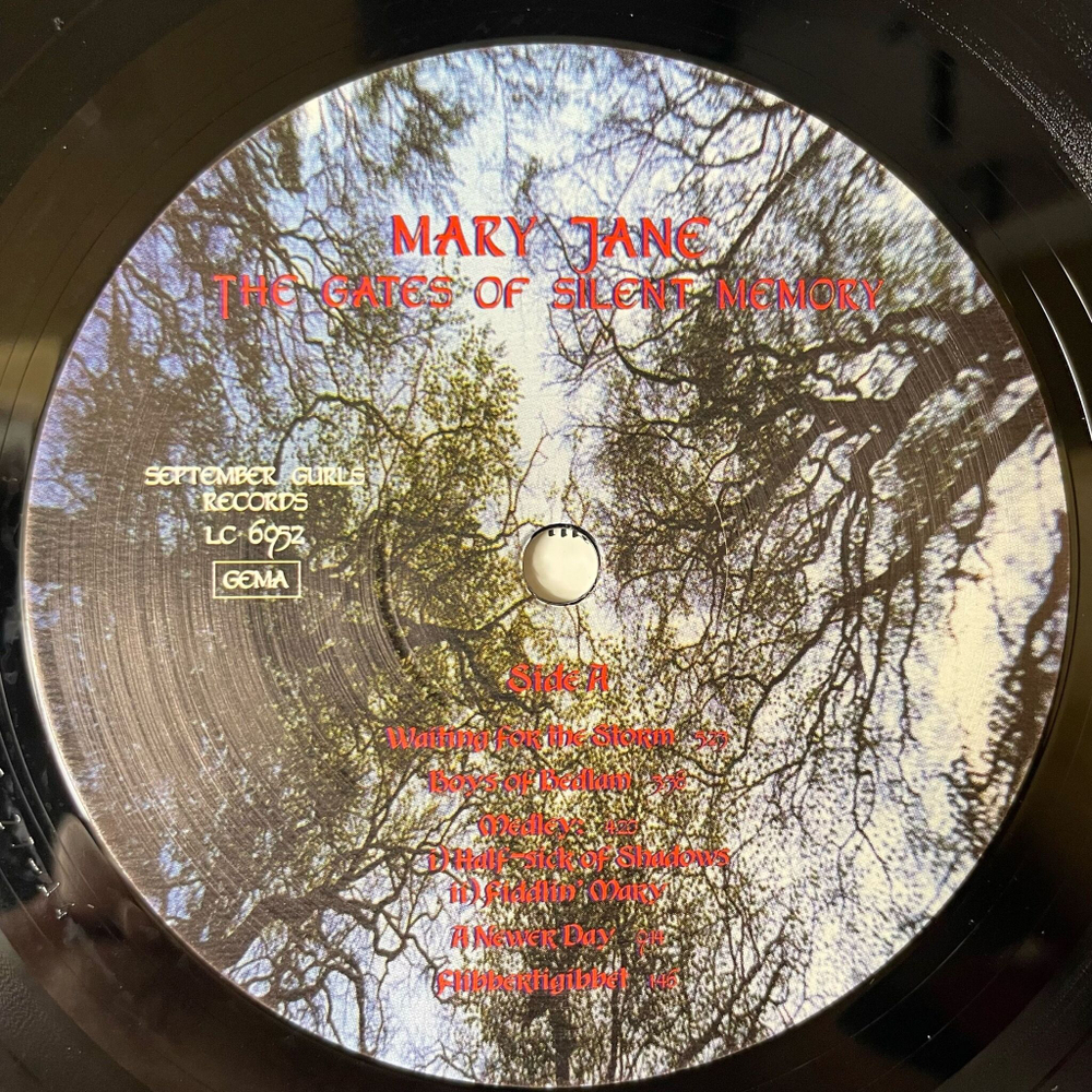 Винтажная виниловая пластинка LP Mary Jane The Gates Of Silent Memory (Germany 1999)