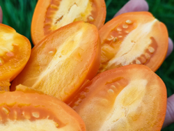 Оранжевый капрезе (Orange caprese) сорт томата