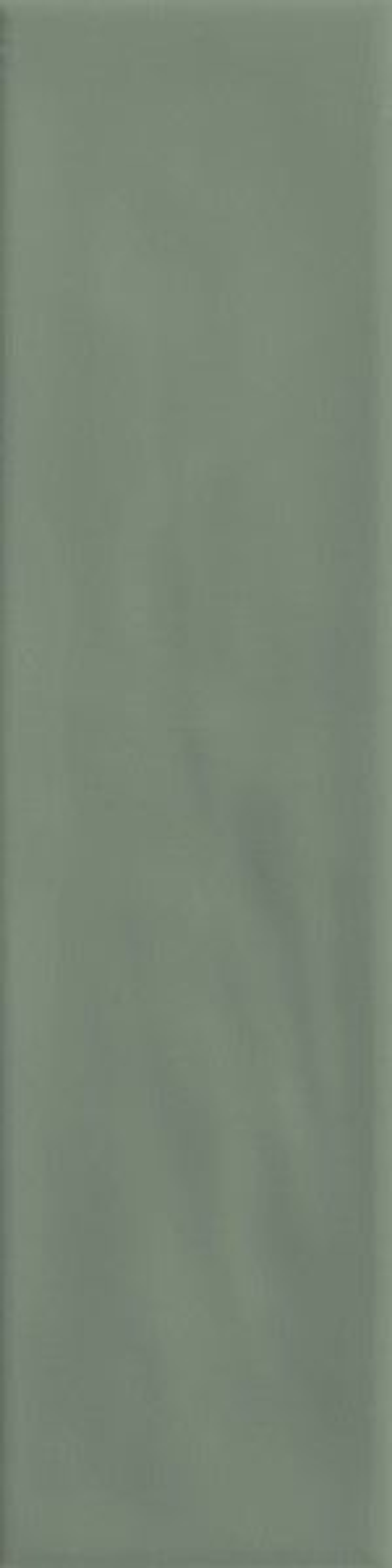 Плитка керамическая Eleganza Saggio глянцевый