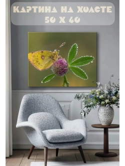 Картина на стену 40 X 50 Бабочка