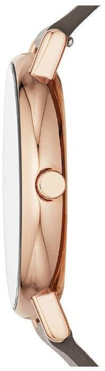 Женские наручные часы Skagen SKW2794