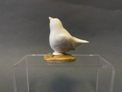 Весна (птичка)