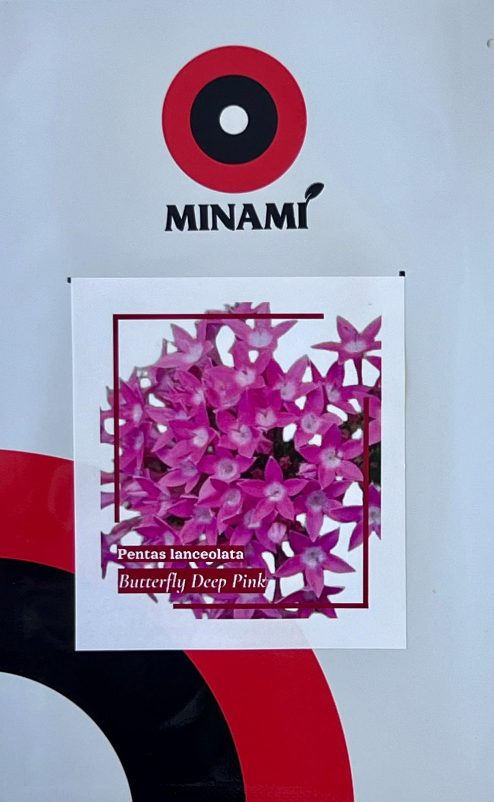 Пентас ланцетный Баттерфляй Дип Пинк 8шт.