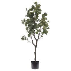GAEM Дерево искусственное "Эвкалипт", L58 W58 H122 см