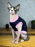 Одежда для кошек сфинкс и собак